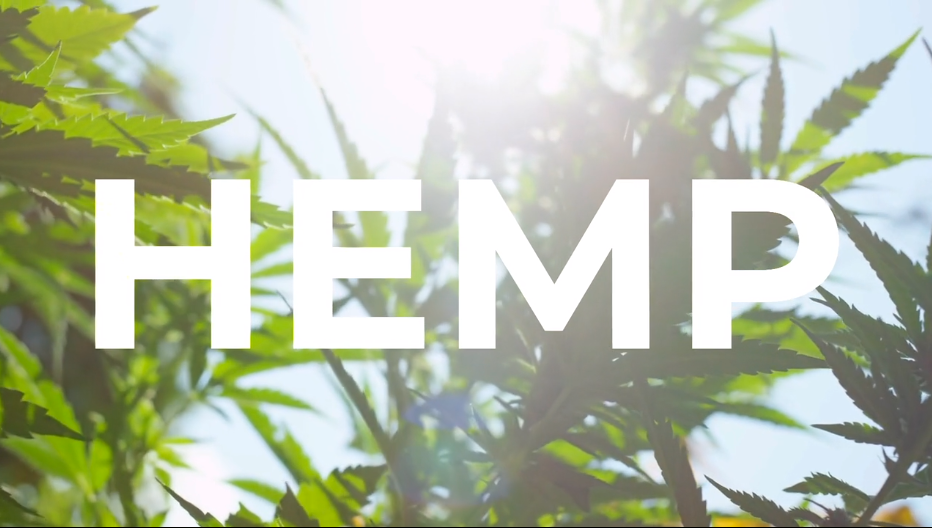 Hemp